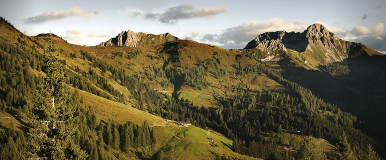 Ausflugsziel in Großarl im Salzburger Land - Loosbühelalm