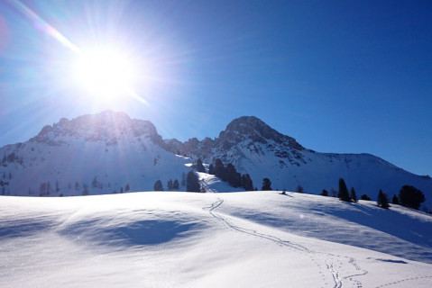 Ausflugsziel im Großarltal, Salzburger Land - Loosbühelalm