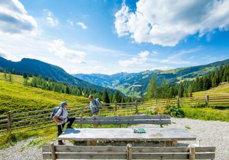 Ausflugsziel & Wandern in Großarl - Almhütte Loosbühelalm