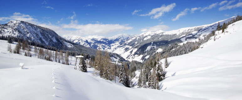 Ausflugsziel im Großarltal, Salzburger Land - Loosbühelalm